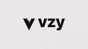 Vzy